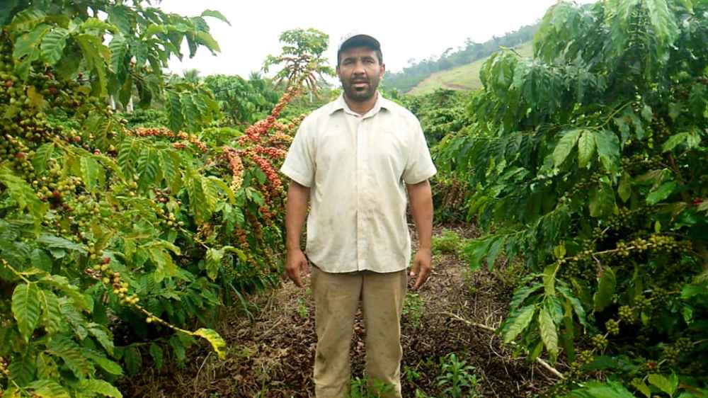 Produtor Zé Lafaiete na plantação de café