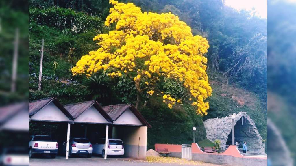 Foto de Maria Cecília Sancio Loss