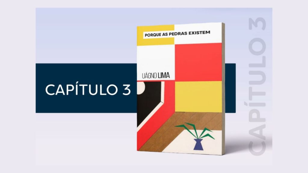 Capa do livro Porque as Pedras Existem