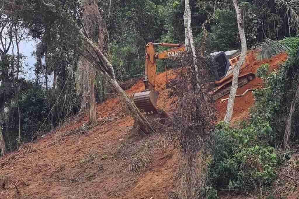 Trator de esteira foi usado para derrubar Mata Atlântica com autorização do Estado em Domingos Martins para loteamento em área rural. Foto: Divulgação