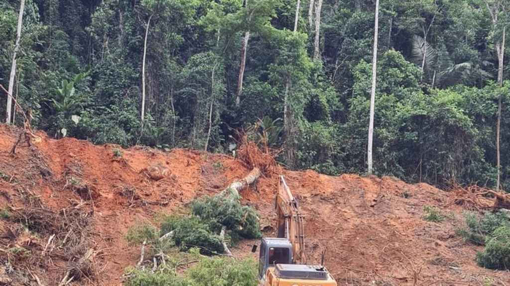 Um trecho com cerca de 20 hectares de mata foi devastado com trator para implantação de condomínio em Domingos Martins no final de 2021. Foto: Divulgação