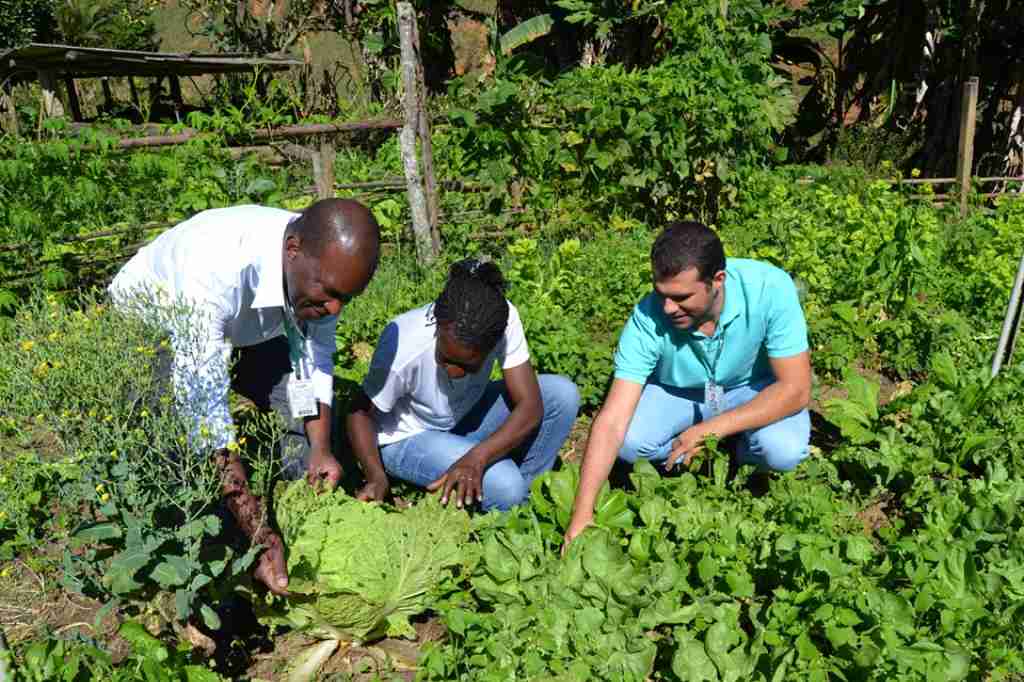 Produção orgânica na região do Caparaó Capixaba atendida por assistência do Incaper, em click feito em 2017. Foto: Tatiana Caus/Incaper