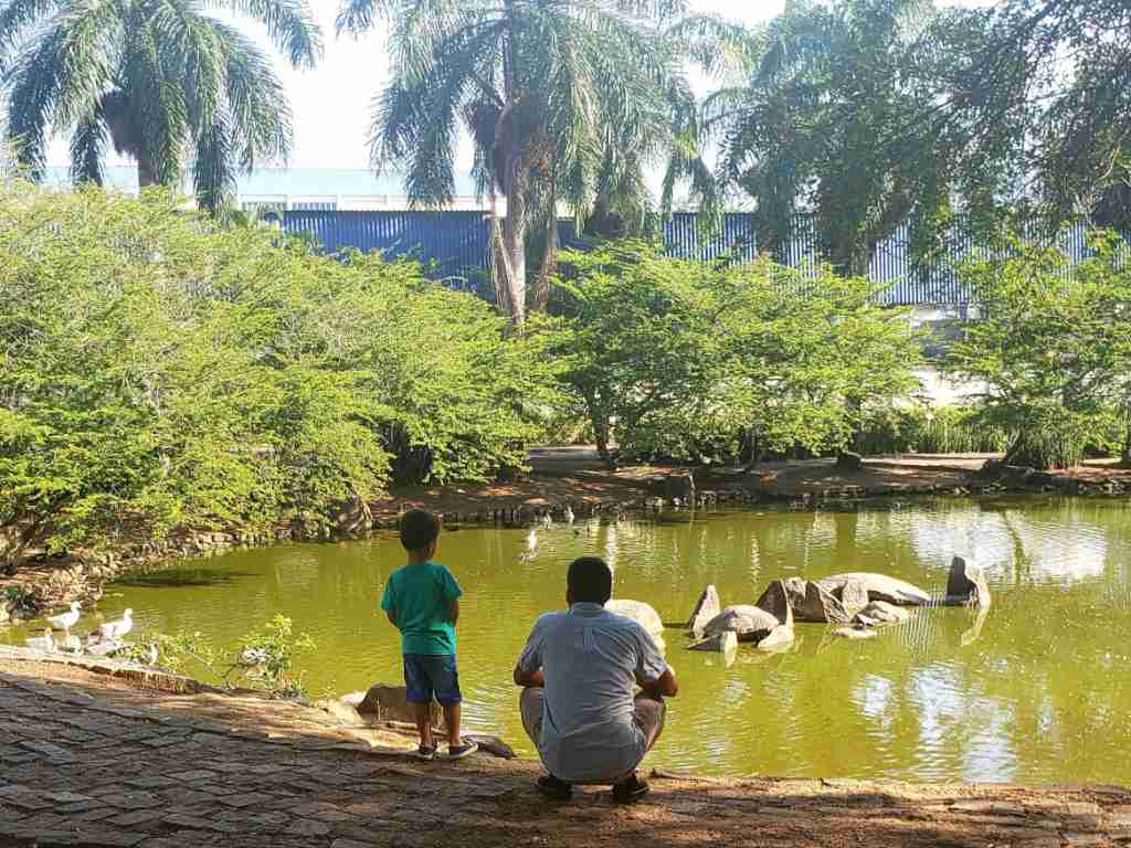 Pai e filho observam a beleza da natureza no Parque Pedra da Cebola em Vitória-ES. Foto de Carmem Barcellos em 09/04/2022