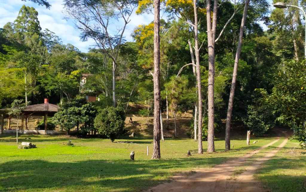 Área do Parque: Sesc tem feito apenas capina do espaço e impede a entrada da comunidade, contrariando decisão judicial. Foto: Bruno Lyra 07/04/22 Foto: