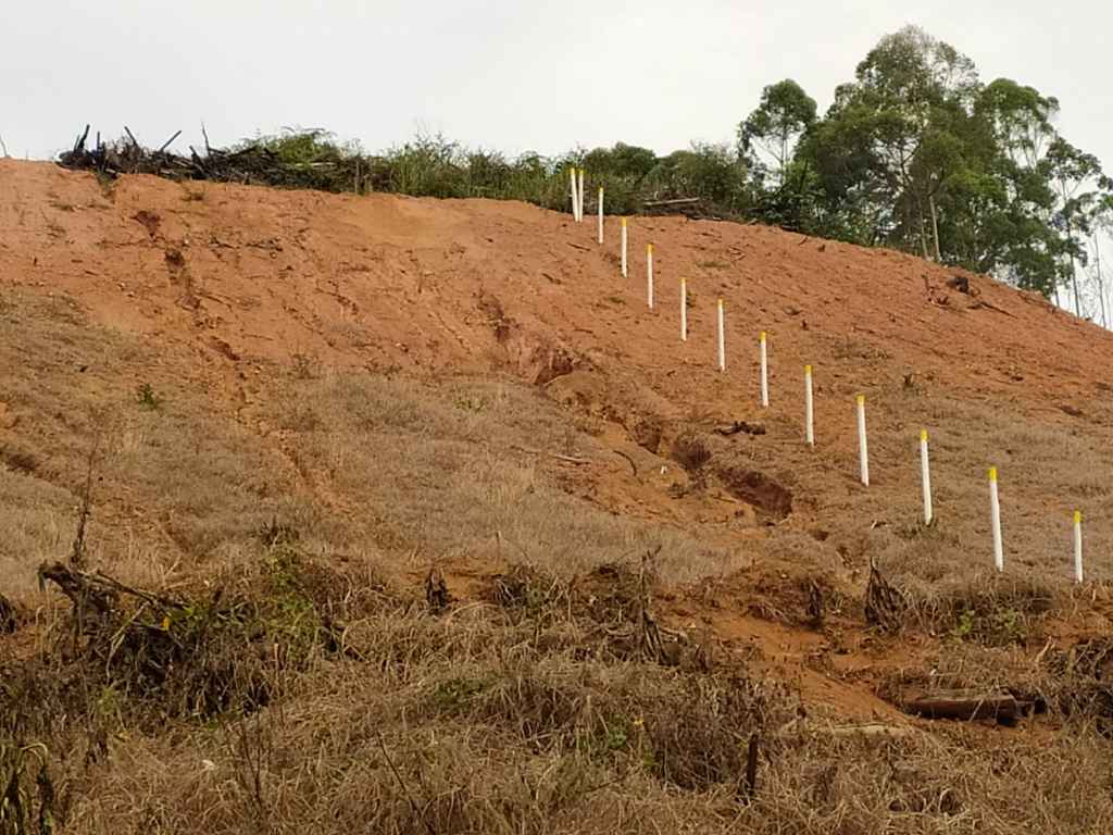 Impacto provocado pela expansão imobiliária nas proximidades circuito Caravaggio.