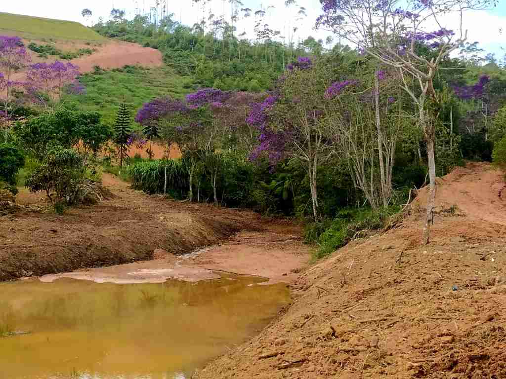 Foto divulgação