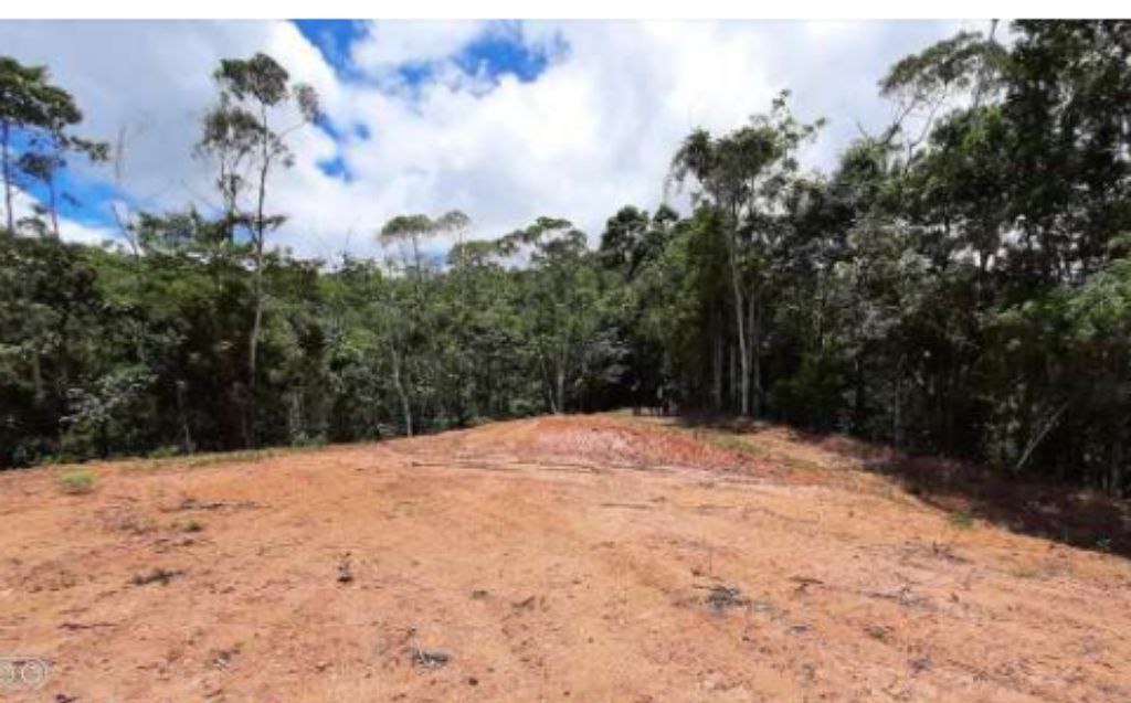 Uma das áreas desmatadas irregularmente pela empresa de Thomazini na Fazenda Velha Aliança. Foto: Divulgação/IDAF