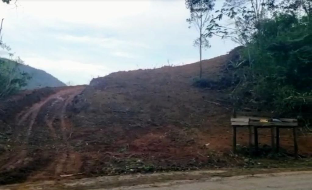 Vegetação foi derrubada por máquinas da Prefeitura no terreno que fica entre a Reserva Biológica de Santa Lúcia e a Estrada do Imigrante. Foto: Reprodução vídeo/Divulgação